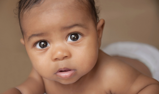 Advocate for Human Life